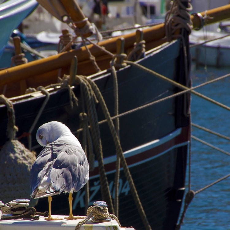 Komiza, Croatia - fishermen village on Vis island