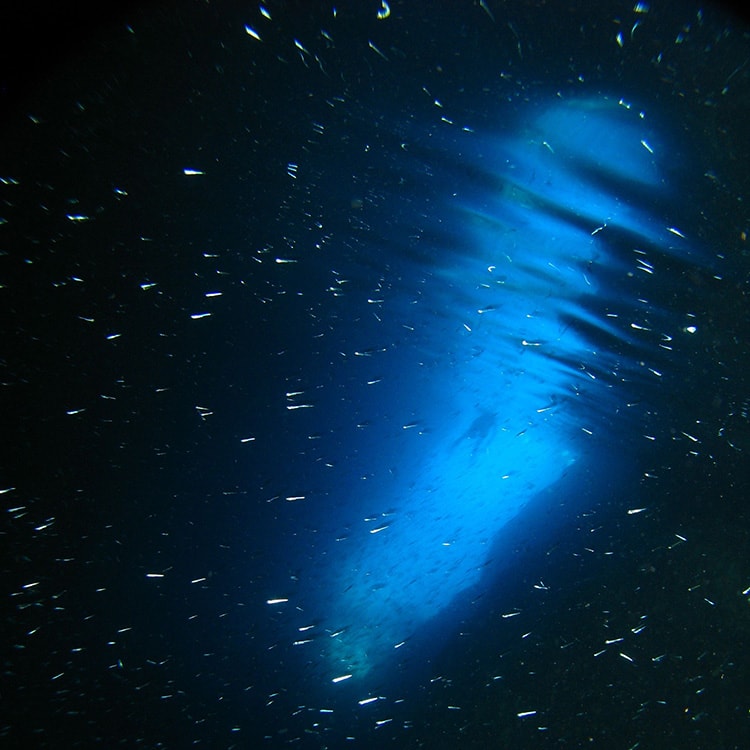 Monk seal cave in Croatia, underwater photo